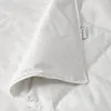 plmebli