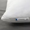 plmebli