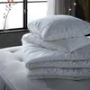 plmebli