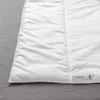 plmebli