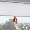 plmebli