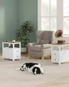 plmebli