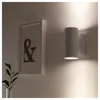 plmebli