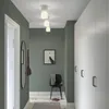 plmebli