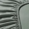 plmebli