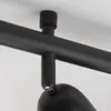 plmebli