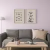 plmebli