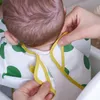 plmebli