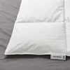 plmebli