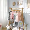 plmebli