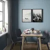plmebli