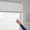 plmebli