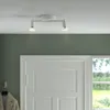 plmebli