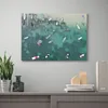 plmebli