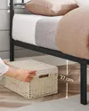plmebli