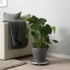 plmebli