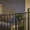 plmebli