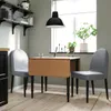 plmebli