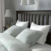 plmebli