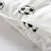 plmebli