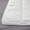 plmebli