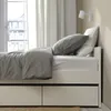 plmebli