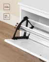 plmebli