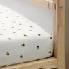 plmebli