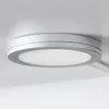 plmebli
