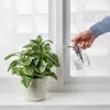 plmebli