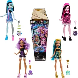 Мікс ляльок Monster High "Приховані секрети" та аксесуарів