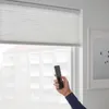 plmebli