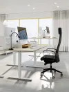 plmebli