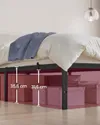 plmebli