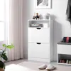 plmebli